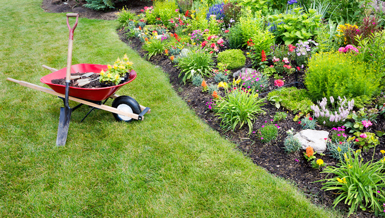 yard waste disposal